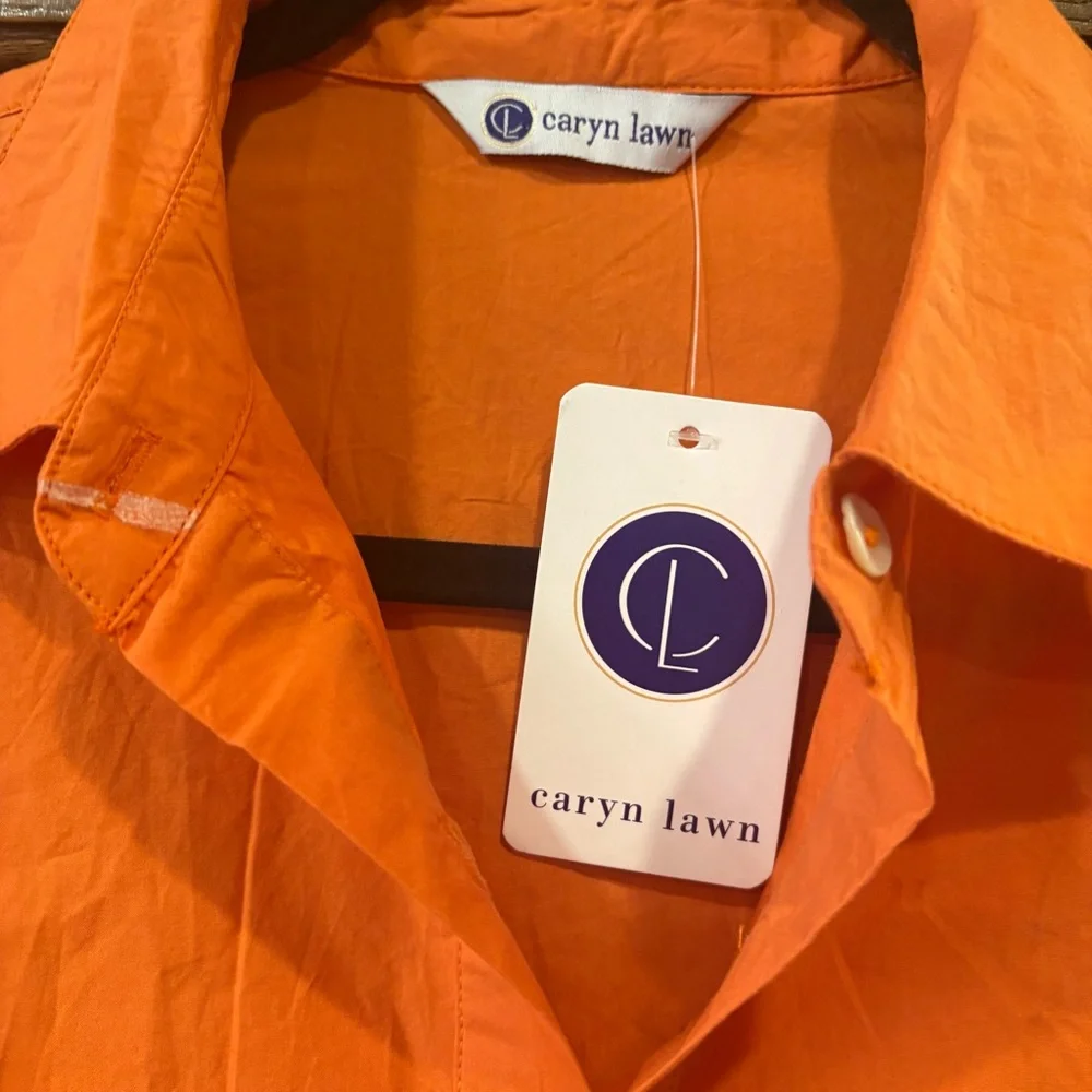 Caryn Lawn NWT $182 Cotton Pleated Drop Waist Dress OSFM Pockets Burnt Orange